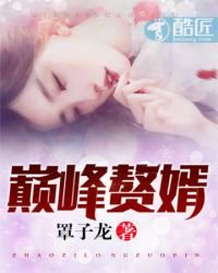 巔峯贅婿