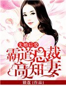 先婚後愛：霸道總裁高知妻